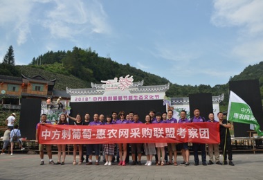 2018中方縣刺葡萄產(chǎn)銷對接會