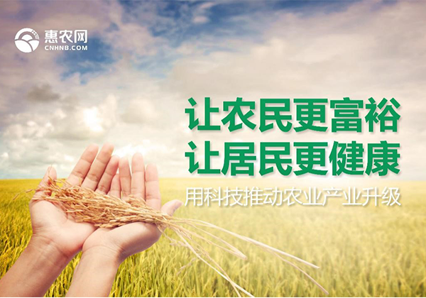 36氪專訪 | 一手流通一手產地,“惠農網”要做農產品“大中間商”