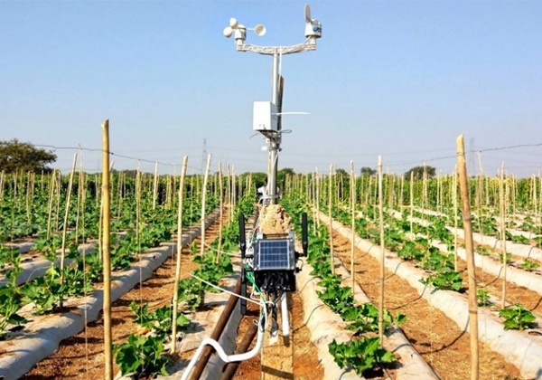 解讀惠農網真源碼溯源云：技術賦予農產品“看得見的信任”