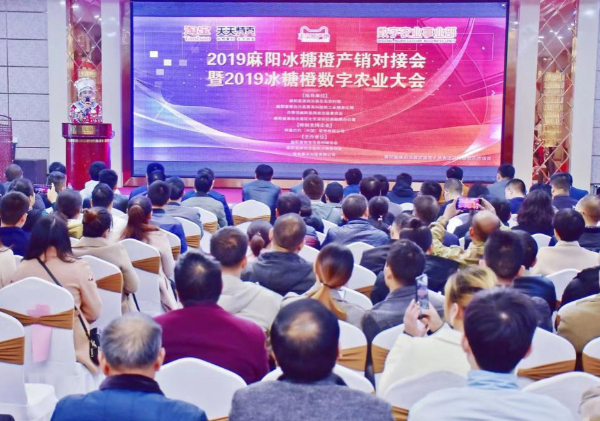 惠農網助推麻陽冰糖橙產業升級 實現農特產品“三品五化”