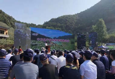 2019中國農民豐收節-刺葡萄生態文化旅游節產銷對接會
