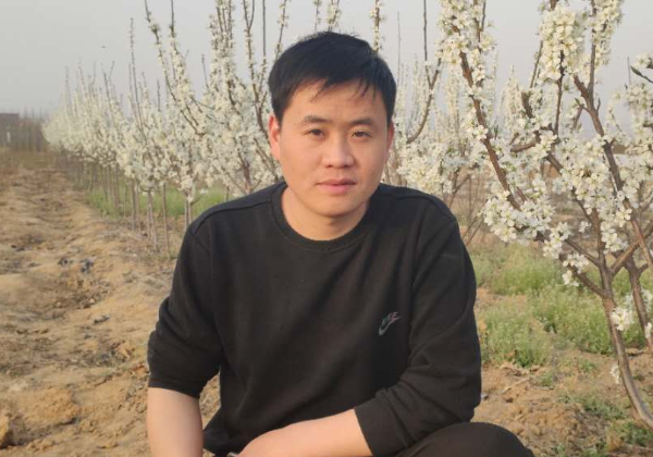 惠農(nóng)網(wǎng)發(fā)起“保耕行動” 苗木商家不誤春風銷新綠