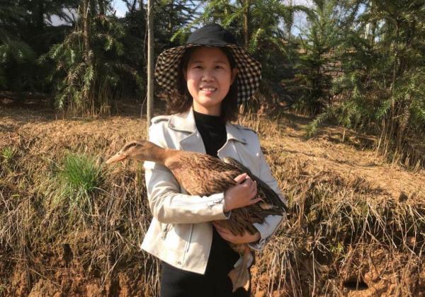 逆向奔跑者陳艷玲:返鄉(xiāng)創(chuàng)業(yè)打造新邵農(nóng)業(yè)生態(tài)新名片