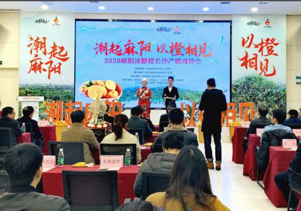 電商抱團(tuán)助銷?2020年麻陽冰糖橙長沙產(chǎn)銷對接會在惠農(nóng)網(wǎng)總部舉行