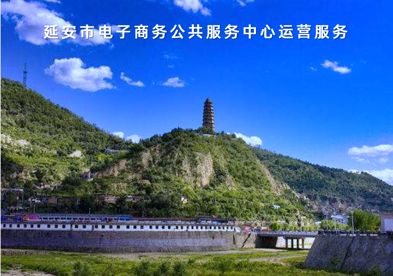 陜西省延安市電子商務公共服務中心運營服務