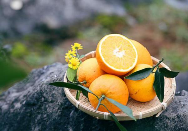 “柑橘大戰”一觸即發 品牌將成制勝關鍵