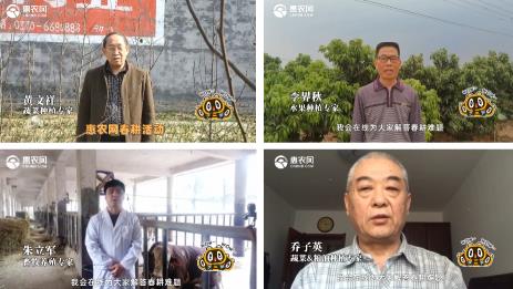 科學備耕促增收 千名農技專家助力惠農網春耕月