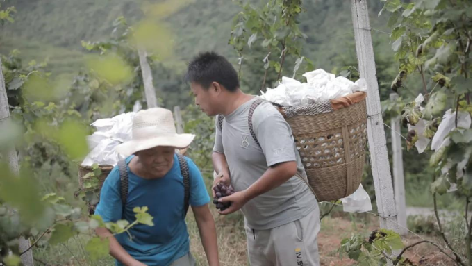 1633921941(1).jpg 1633921941(1).jpg