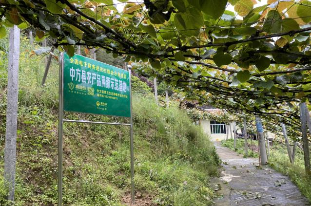 圖片3.png 圖片3.png