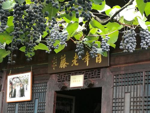 圖片6.png 圖片6.png