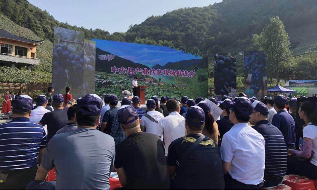 圖片7.png 圖片7.png