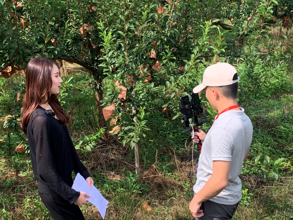 圖片13.png 圖片13.png