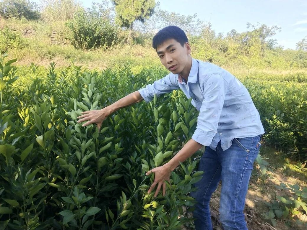 新農(nóng)人的2021年怎么樣?看惠農(nóng)網(wǎng)這5位商家怎么說