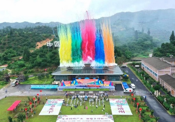 惠農(nóng)網(wǎng)近千位電商站長(zhǎng)齊助力 靖州楊梅“紅”遍全國(guó)