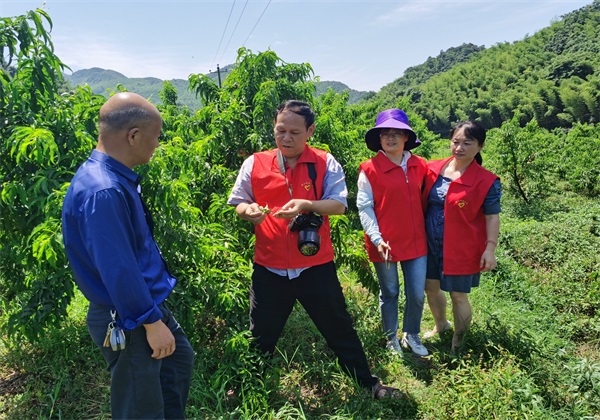 惠農(nóng)網(wǎng)農(nóng)技專家王迪軒:33年田間耕耘 用科學觀念護航農(nóng)業(yè)生產(chǎn)