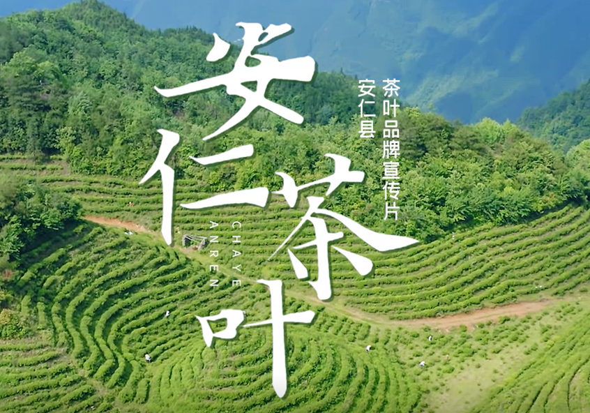安仁茶葉宣傳片 安仁茶葉宣傳片