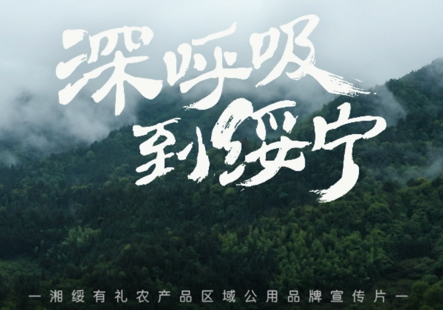 綏寧“湘綏有禮”區(qū)域公用品牌宣傳片 綏寧“湘綏有禮”區(qū)域公用品牌宣傳片