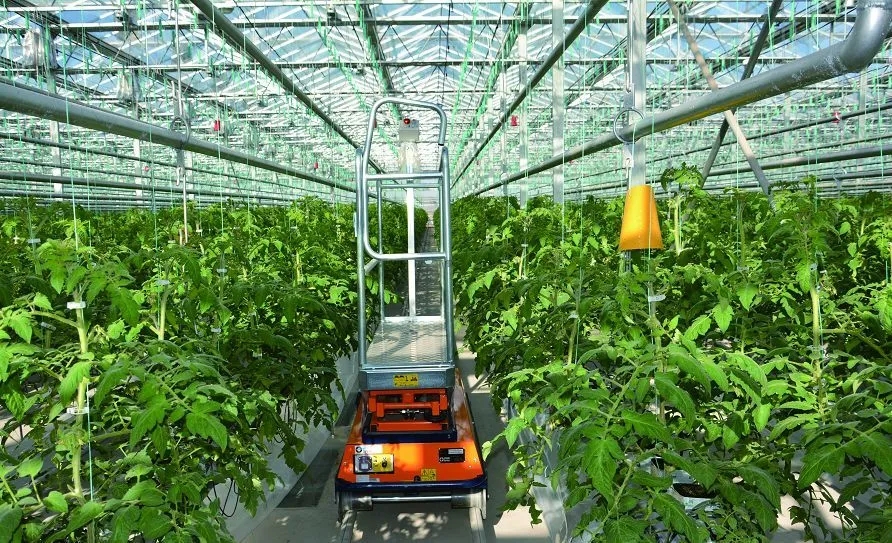 《全國現代設施農業建設規劃(2023—2030年)》發布實施