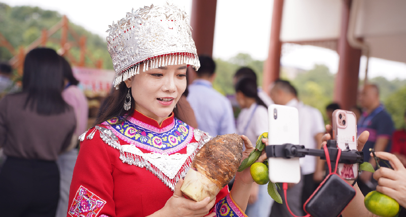 江永香芋節3.jpg 江永香芋節3.jpg