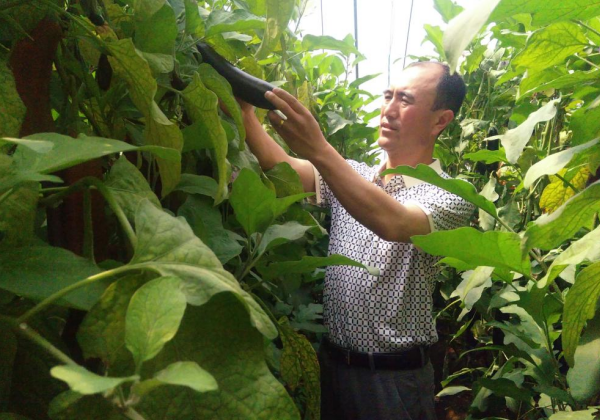 惠農(nóng)網(wǎng)農(nóng)技專家孟玉智:花式送技,千里之外解民憂