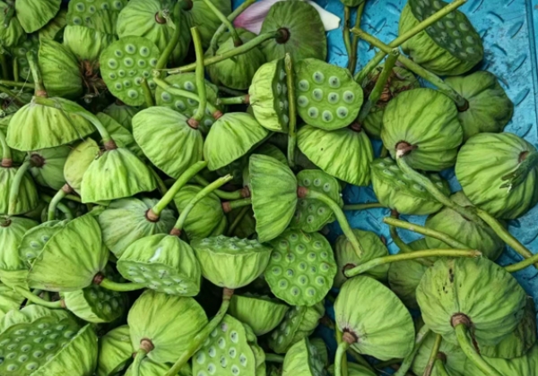 小單品賣到平臺全國熱銷第一!這個70后農三代如何點“蓮”成金