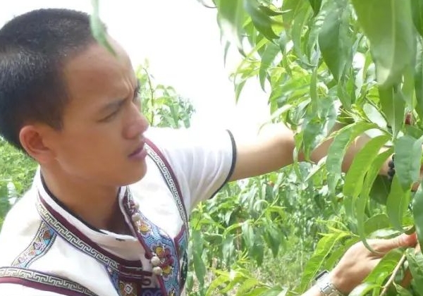 石林女婿的傳奇電商路:從零開始突破年銷600萬元