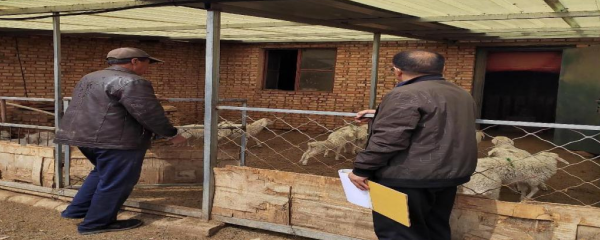 科技助力鄉(xiāng)村振興!惠農(nóng)網(wǎng)專家喬普海在線解答1.67萬個(gè)養(yǎng)殖難題