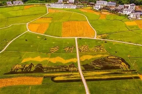 鄉村全面振興規劃(2024—2027年) 鄉村全面振興規劃(2024—2027年)