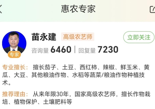 惠農網農技專家苗永建:傳技“多面手”,讓玉米平均單產達1.34萬公斤/公頃