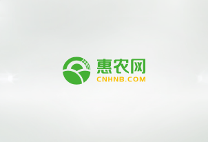 小崗電商助農(nóng)直播電商培訓(xùn)開班 小崗電商助農(nóng)直播電商培訓(xùn)開班